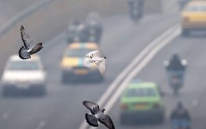 Fermeture des écoles dans plusieurs villes d'Iran