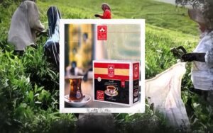 Des responsables du régime iranien achètent des propriétés commerciales et résidentielles à Dubaï et en Espagne avec de l’argent volé