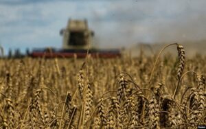 Le ministre iranien de l'Agriculture reconnaît la « situation extrêmement difficile en matière de sécurité alimentaire »