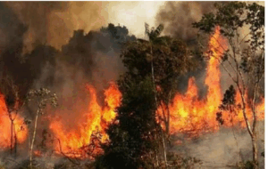 Certaines villes iraniennes n'ont pas les moyens d'acheter des uniformes de pompiers