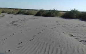 Chaque année, des dizaines de milliers d'hectares de terres se dégradent en Iran